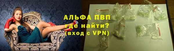 ешки Белокуриха