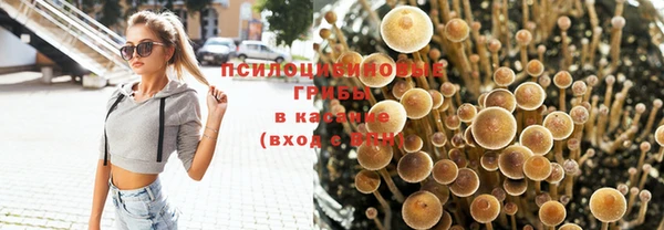 MESCALINE Медвежьегорск