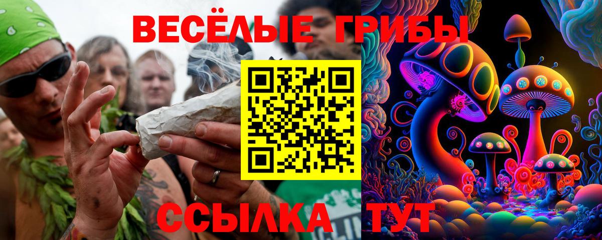 Галлюциногенные грибы GOLDEN TEACHER  Вход с VPN  Беслан  Псилоцибиновые грибы Magic Shrooms 